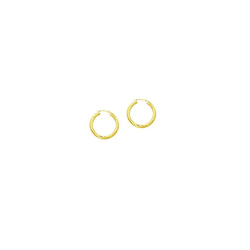 10K Yellow Gold Ladies Hoop Earrings 203 61372 1