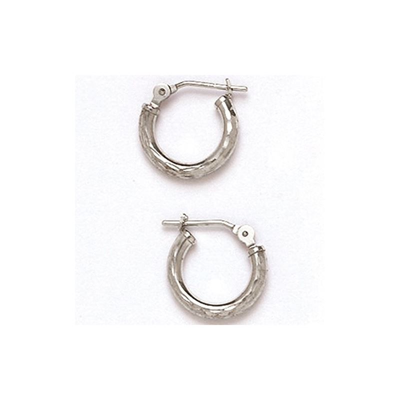 14K Gold Hoop Earrings HEW46