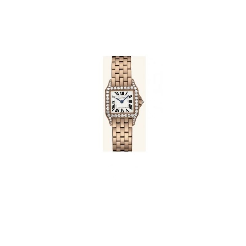 Cartier New Santos Series Women