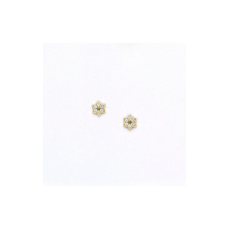 "14K Yellow Gold ladybug