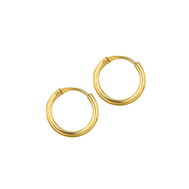 14K Yellow Gold Ladies Hoop Earrings ER1 69135 1