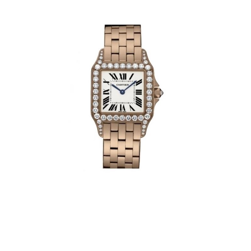 Cartier New Santos Series Unisex Watch W 55210 1