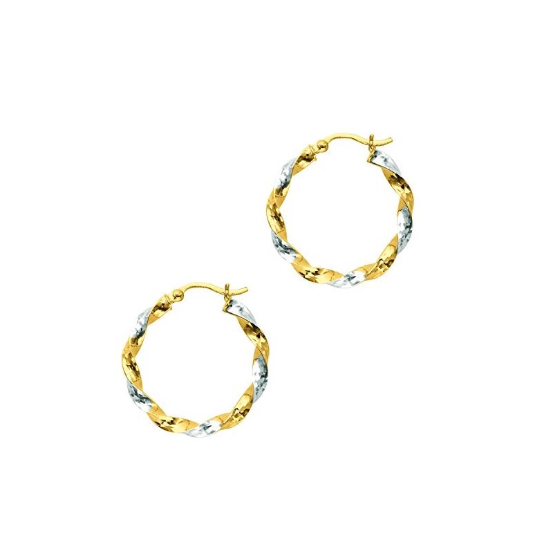 14K Tri-Color Gold Ladies Hoop Earrings ER1032